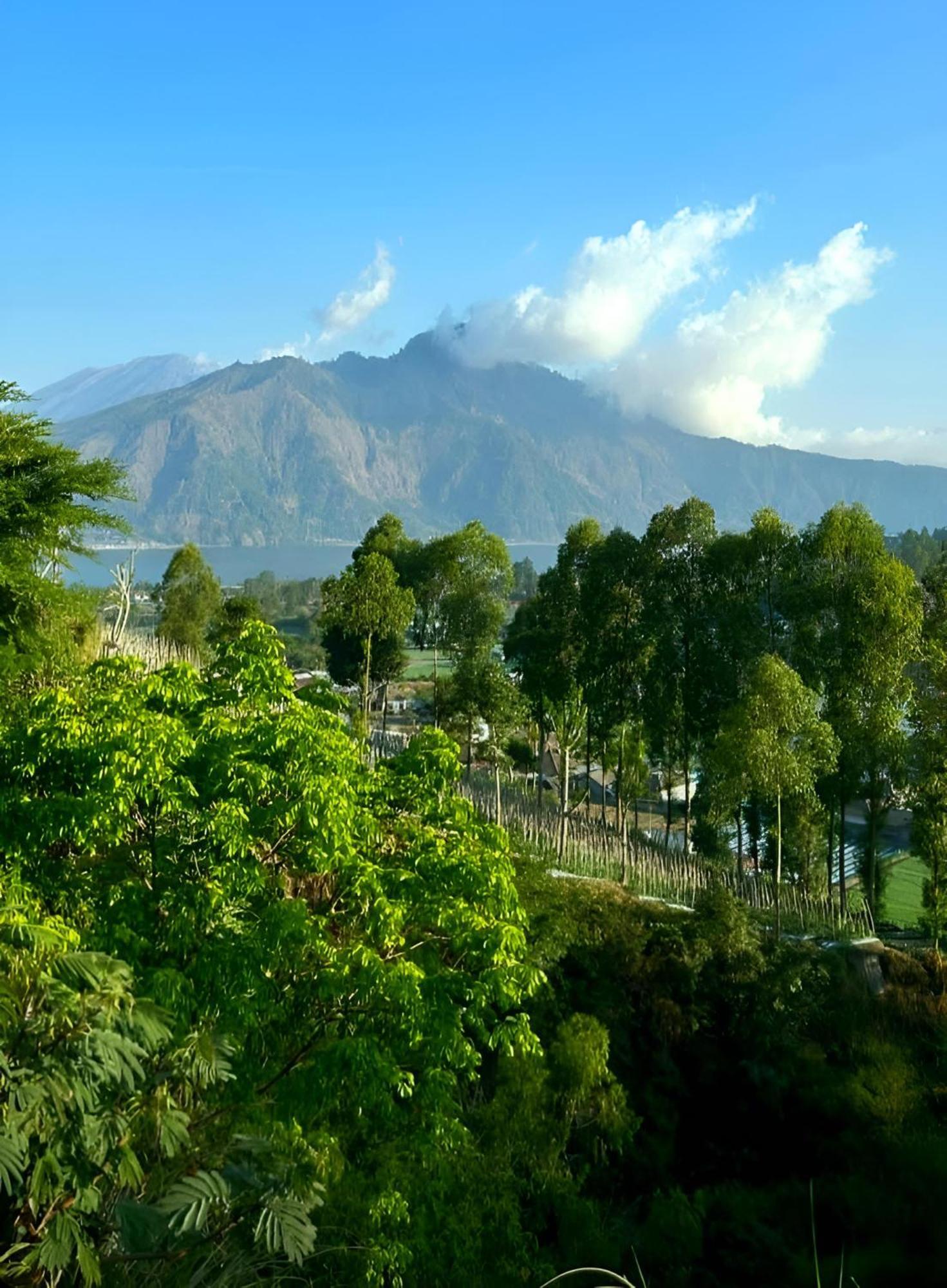 Hillside Bali Panzió Kubupenlokan Kültér fotó