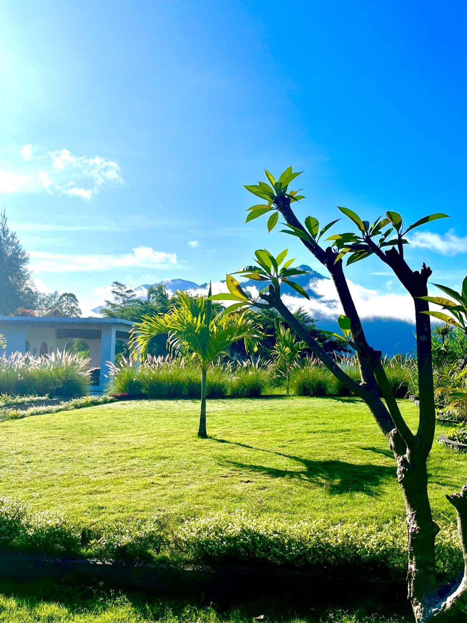 Hillside Bali Panzió Kubupenlokan Kültér fotó